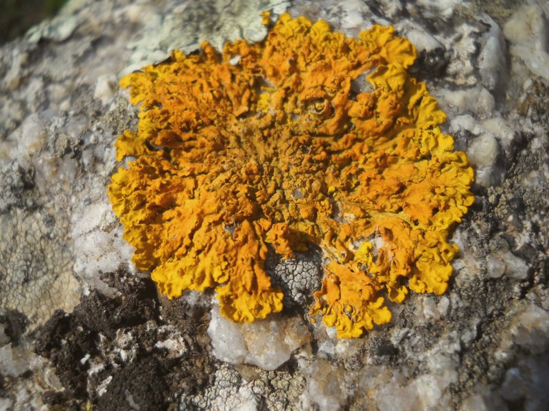 su granito...vicino al mare